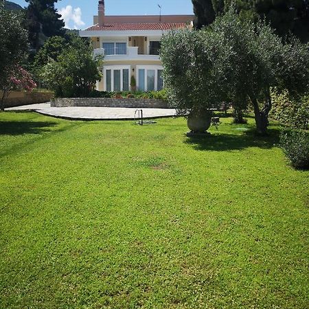 Villa Vasiliki Палеон-Цифликион Экстерьер фото